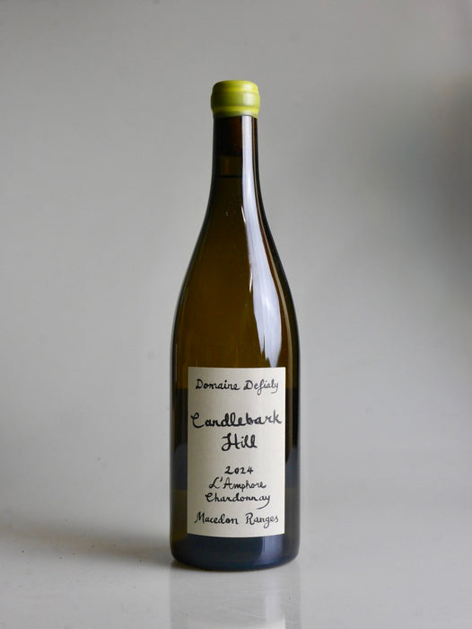 Alice et Olivier de Moor Chablis 1er Cru Vau de Vey 2023, 2 pack