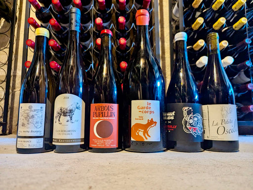 Renaud Bruyère and Adeline Houillon Arbois Pupillin Rouge En Aspis Trousseau 2019 & Friends mixed 6 pack