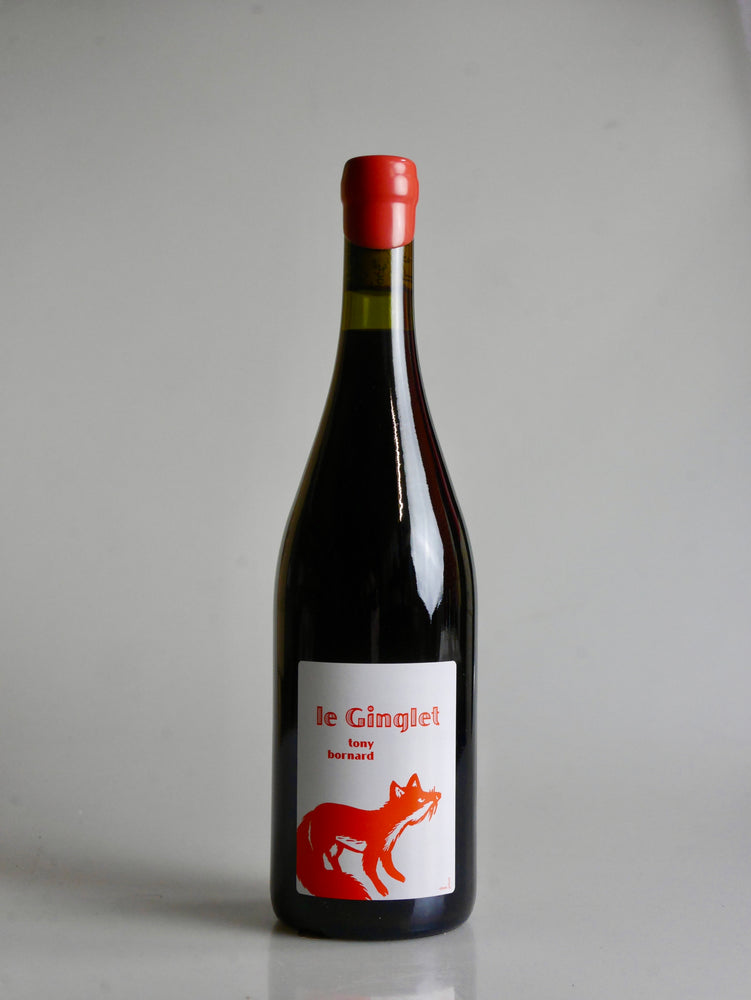 Domaine Bornard Trousseau Le Ginglet 2022 - Moreish Wines