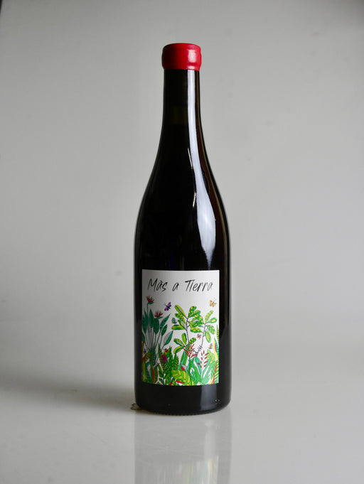 La Petite Empreinte Côteaux Bourguignons Mas à Tierra 2023 (Pinot Noir) - Moreish Wines