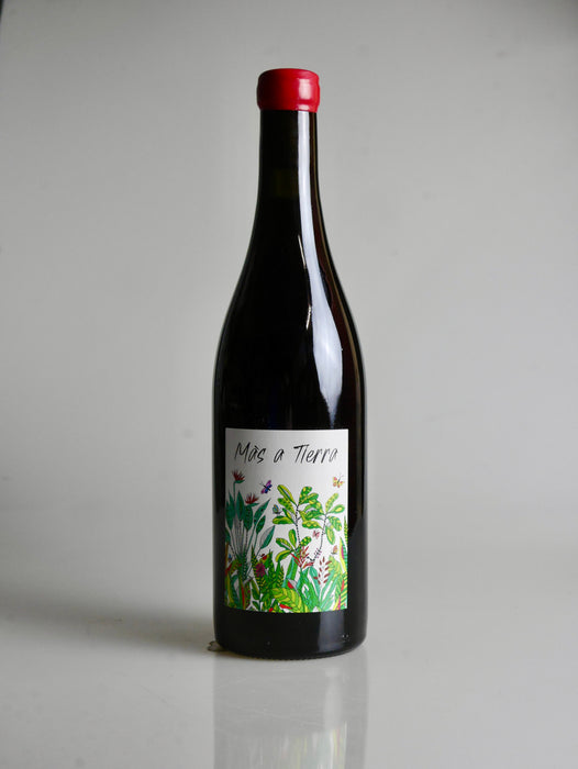 La Petite Empreinte Côteaux Bourguignons Mas à Tierra 2023 (Pinot Noir) - Moreish Wines