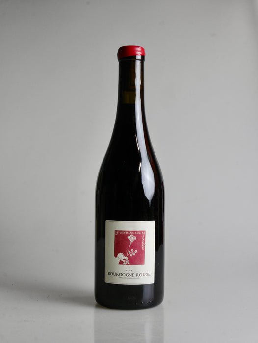 Alice et Olivier de Moor Le Vendageur Masqué Bourgogne Rouge 2024, 2 pack