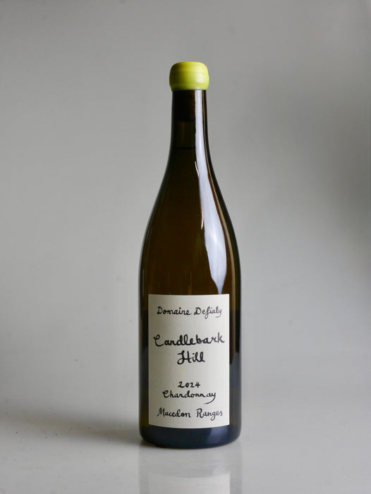 Alice et Olivier de Moor Chablis L'Humeur du Temps 2024, 2 pack