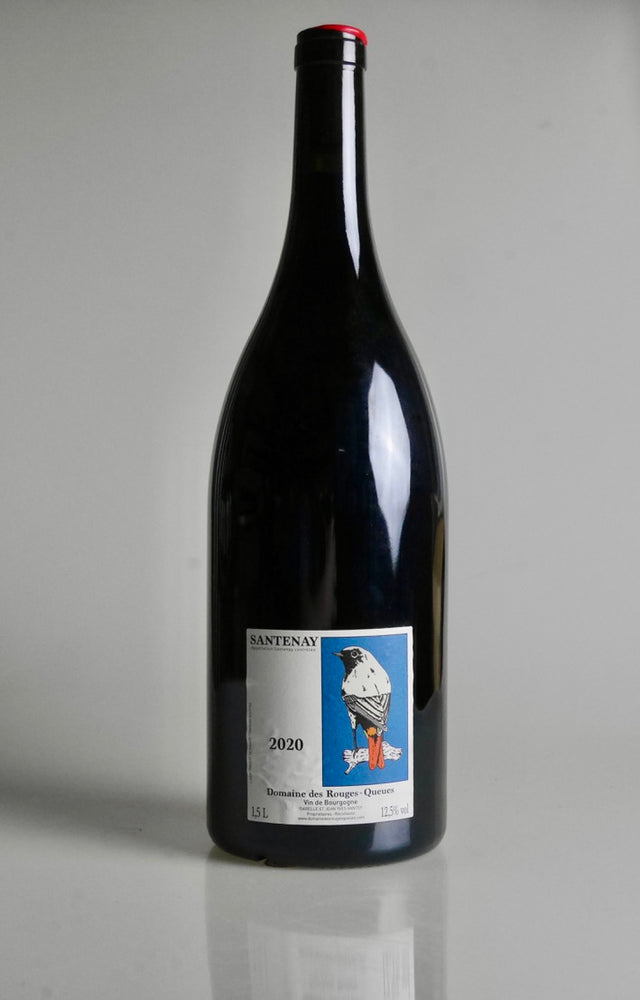 Domaine des Rouges-Queues Santenay Rouge 2020 Magnum (1.5L) - Moreish Wines